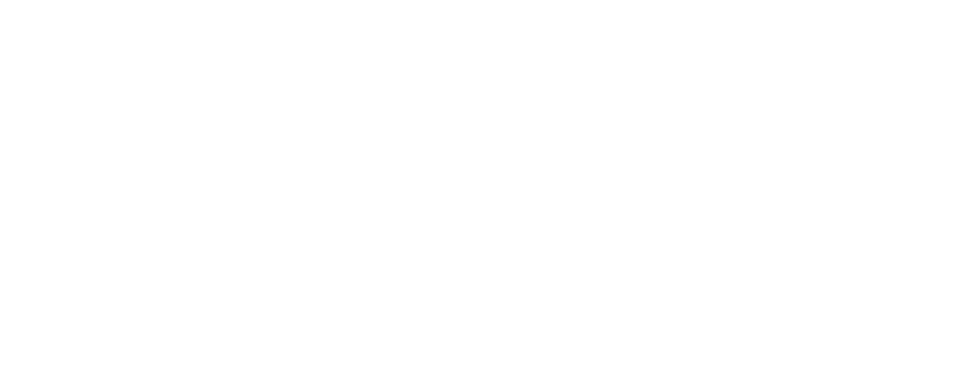 Falcon Security